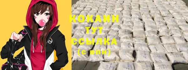 крисы Бронницы