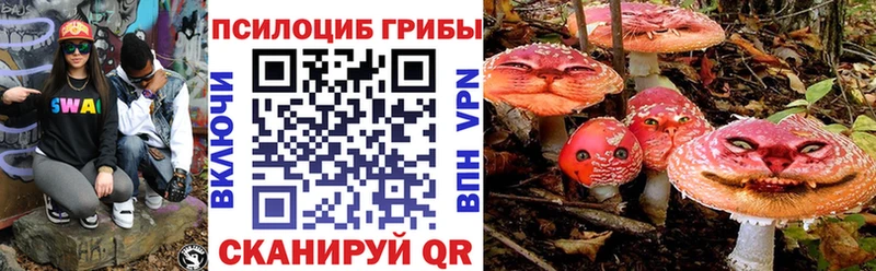 Псилоцибиновые грибы мухоморы  MEGA ссылка  Усть-Илимск  как найти наркотики 