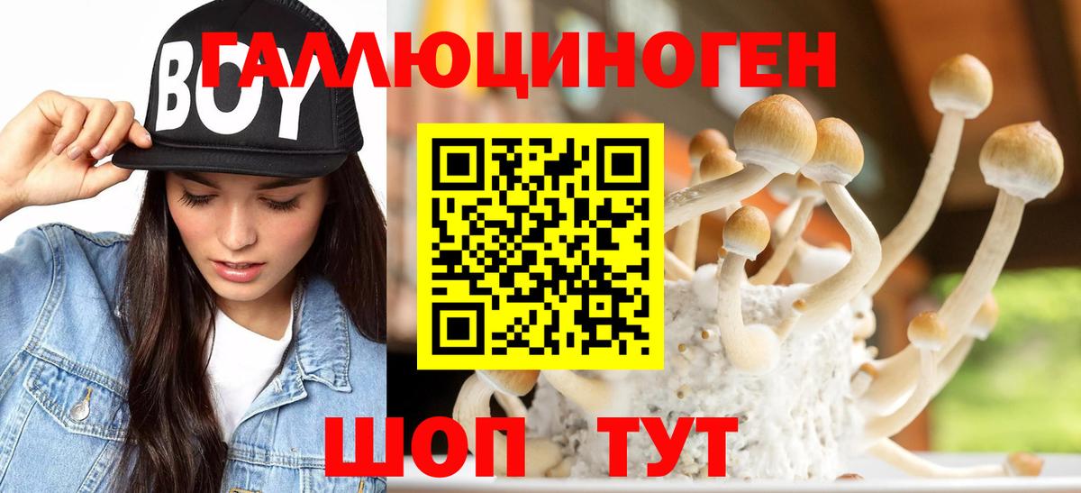 Галлюциногенные грибы Magic Shrooms  Вход с VPN  Усть-Илимск 
