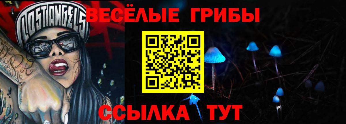 Псилоцибиновые грибы Psilocybine cubensis Усть-Илимск