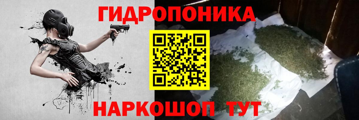 Каннабис сатива Усть-Илимск